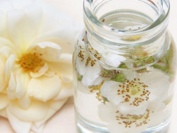 Rosenwasser gegen Pickeln, Falten und Entzündungen